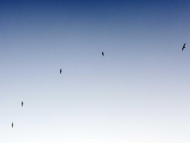 退ID灰色全套<br>各种无法退出账号一站式修复